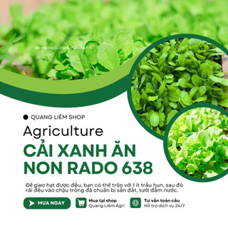 Hạt Giống Cải Xanh Ăn Non RADO 638 (Gói 20g~2000 Hạt) Rạng Đông, Phát Triển Mạnh, Dễ Gieo Trồng, Nhanh Thu Hoạch