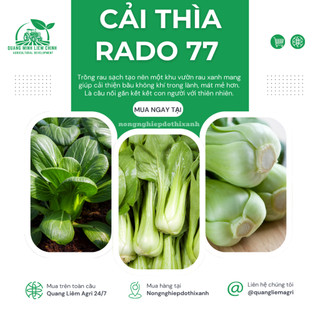 Hạt Giống Cải Thìa RADO 77 (Gói 20g~3500 Hạt) Rạng Đông, Sinh Trưởng Mạnh, Ít Sâu Bệnh