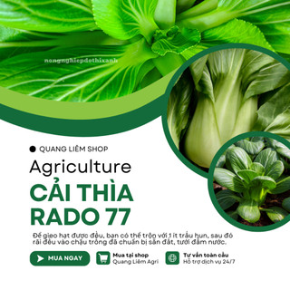 Hạt Giống Cải Thìa RADO 77 (Gói 20g~3500 Hạt) Rạng Đông, Sinh Trưởng Mạnh, Ít Sâu Bệnh