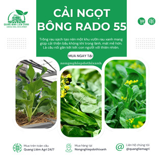 Hạt Giống Cải Ngọt Bông RADO 55 (Gói 20g~6000 Hạt) Rạng Đông, Trồng Quanh Năm – [Cải Ngồng]