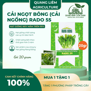 Hạt Giống Cải Ngọt Bông RADO 55 (Gói 20g~6000 Hạt) Rạng Đông, Trồng Quanh Năm – [Cải Ngồng]