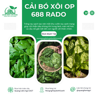 Hạt Giống Cải Bó Xôi OP RADO 688 (Gói 20g~2800 Hạt) Rạng Đông, Chịu Nhiệt Tốt, Dễ Gieo Trồng