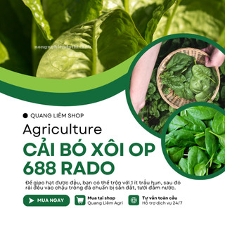 Hạt Giống Cải Bó Xôi OP RADO 688 (Gói 20g~2800 Hạt) Rạng Đông, Chịu Nhiệt Tốt, Dễ Gieo Trồng
