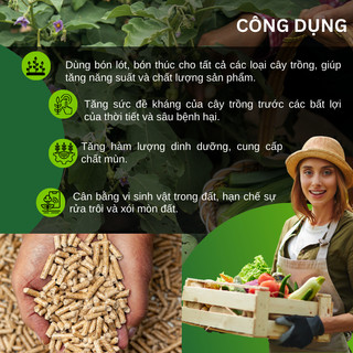 Phân Bón Hữu Cơ Vi Sinh, Phân Gà Dynamic-Gold, Phân nở Gold (Túi 1KG) - Giúp cây kháng bệnh