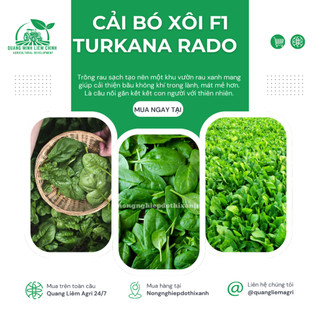 Hạt Giống Cải Bó Xôi F1 RADO Turkana (Gói 5g~600 Hạt) Rạng Đông, Xanh Mướt, Năng Suất Cao