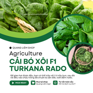Hạt Giống Cải Bó Xôi F1 RADO Turkana (Gói 5g~600 Hạt) Rạng Đông, Xanh Mướt, Năng Suất Cao