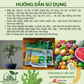 Phân Hữu Cơ viên nén đậm đặc Bounce Back- BB Úc (500gr/1kg), dùng cho cây kiểng, hoa lan, bonsai