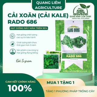 Hạt Giống Cải Xoăn (Cải Kale) RADO 686 (5g~500 Hạt) Rạng Đông, Giàu Chất Dinh Dưỡng, Xanh Mướt