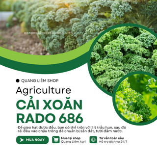 Hạt Giống Cải Xoăn (Cải Kale) RADO 686 (5g~500 Hạt) Rạng Đông, Giàu Chất Dinh Dưỡng, Xanh Mướt