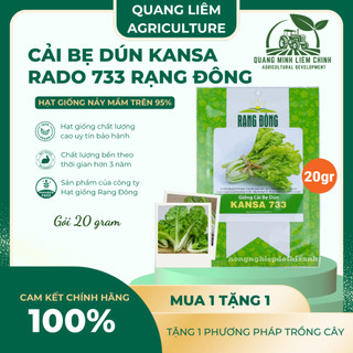 Hạt Giống Cải Bẹ Dún Kansa RADO 733 (Gói 20g~3500 Hạt) Rạng Đông, Chịu Nhiệt Tốt, Ít Sâu Bệnh