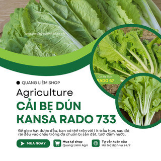 Hạt Giống Cải Bẹ Dún Kansa RADO 733 (Gói 20g~3500 Hạt) Rạng Đông, Chịu Nhiệt Tốt, Ít Sâu Bệnh