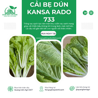 Hạt Giống Cải Bẹ Dún Kansa RADO 733 (Gói 20g~3500 Hạt) Rạng Đông, Chịu Nhiệt Tốt, Ít Sâu Bệnh