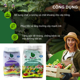 Phân bón NPK Better Xanh (12-12-17-6S+TE) và NPK Tím (16-12-8 11+TE)  (1KG), dùng cho mọi giai đoạn