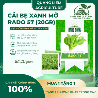 Hạt Giống Cải Bẹ Xanh Mỡ Rado 57 (20g~2000 Hạt) Rạng Đông, Chịu Nhiệt Tốt, Nảy Mầm Nhanh