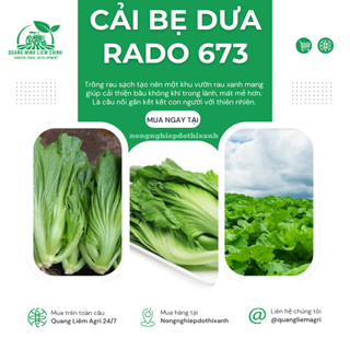 Hạt Giống Cải Bẹ Dưa Rado 673 (Gói 20g~4000 Hạt) Rạng Đông, Bắp To, Sinh Trưởng Mạnh