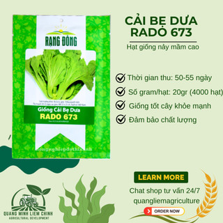 Hạt Giống Cải Bẹ Dưa Rado 673 (Gói 20g~4000 Hạt) Rạng Đông, Bắp To, Sinh Trưởng Mạnh