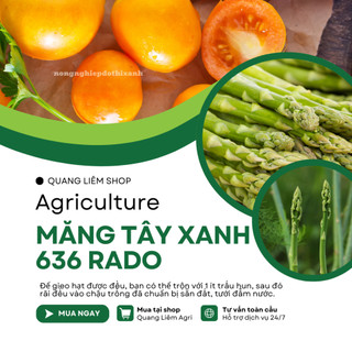 Hạt Giống Măng Tây Xanh Rado 636 (Gói 0,5g~25 Hạt) Rạng Đông, Nảy Mầm Tốt, Giòn, Ngọt