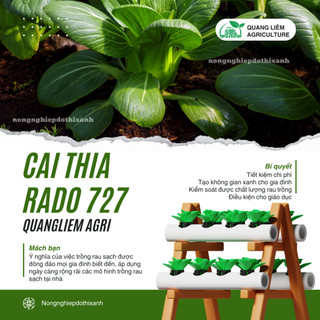 Hạt Giống Cải Thìa Lai F1 RADO 727 (Gói 5g~900 Hạt) Năng Suất Cao, Chịu Nhiệt Tốt