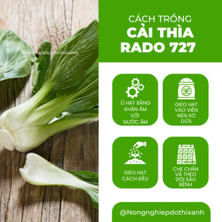 Hạt Giống Cải Thìa Lai F1 RADO 727 (Gói 5g~900 Hạt) Năng Suất Cao, Chịu Nhiệt Tốt