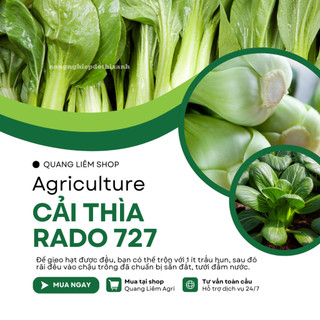 Hạt Giống Cải Thìa Lai F1 RADO 727 (Gói 5g~900 Hạt) Năng Suất Cao, Chịu Nhiệt Tốt