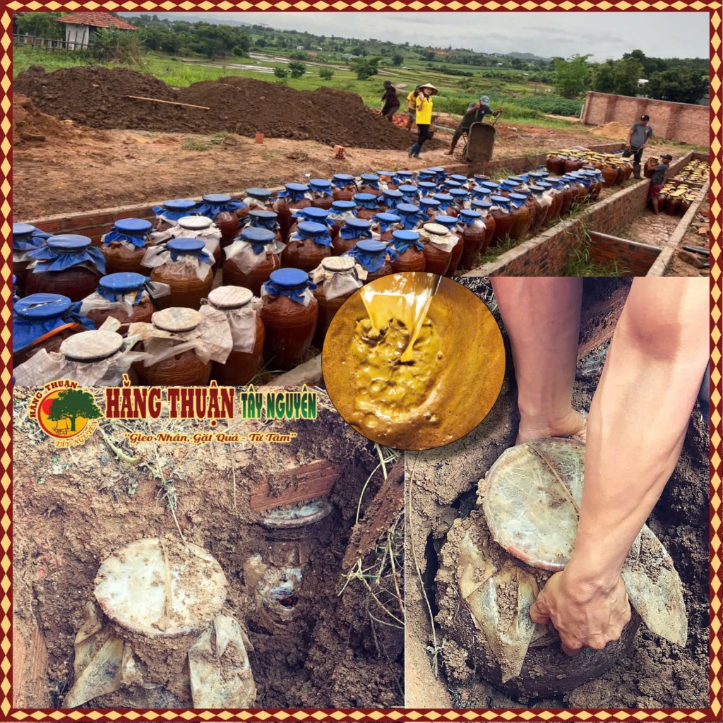 Cốt Nghệ Gấc Hạ Thổ Bôi Mặt Sau Sinh Hằng Thuận Tây Nguyên - ĐẸP DA - SẠCH MỤN - MỜ THÂM NÁM