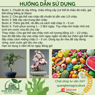 Giá Thể Trồng Kiểng Lá SFARM 17dm3 Đặng Gia Trang - Bảo Vệ Tốt Cho Rễ, Tơi Xốp, Thoáng Khí
