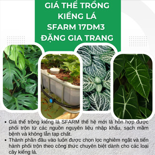 Giá Thể Trồng Kiểng Lá SFARM 17dm3 Đặng Gia Trang - Bảo Vệ Tốt Cho Rễ, Tơi Xốp, Thoáng Khí