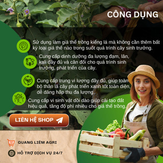 Giá Thể Trồng Kiểng Lá SFARM 17dm3 Đặng Gia Trang - Bảo Vệ Tốt Cho Rễ, Tơi Xốp, Thoáng Khí