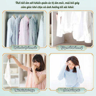 Hộp hút ẩm khử mùi 3in1 hương hoa thơm mát chống nấm mốc cho tủ quần áo, tủ giày, phòng vệ sinh