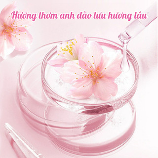 Hộp hút ẩm khử mùi 3in1 hương hoa thơm mát chống nấm mốc cho tủ quần áo, tủ giày, phòng vệ sinh