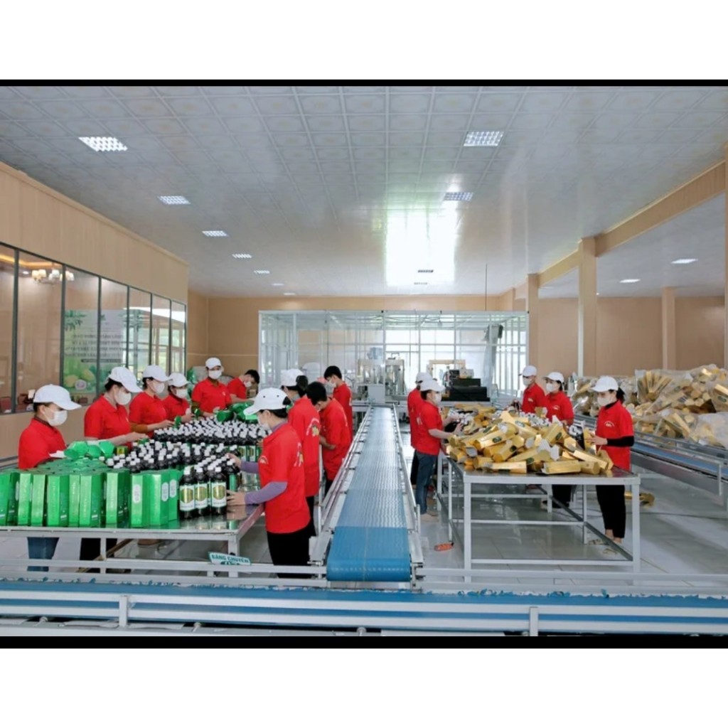 Nước cốt nhàu nguyên chất Noni Gold chai 1 lít