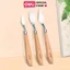 Bộ Bay Pha Màu Dmast Cao Cấp Deli Bay Trộn Màu, Bay Đắp Màu, Xúc Màu Cán Gỗ Chắc Chắn Lưỡi Bay Thép Chống Gỉ