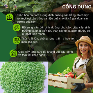 Phân Bón NPK 17-17-17 Minro - Bung chồi, nhú đọt, tạo mầm hoa, màu sắc đẹp, hoa lâu tàn