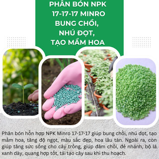 Phân Bón NPK 17-17-17 Minro - Bung chồi, nhú đọt, tạo mầm hoa, màu sắc đẹp, hoa lâu tàn