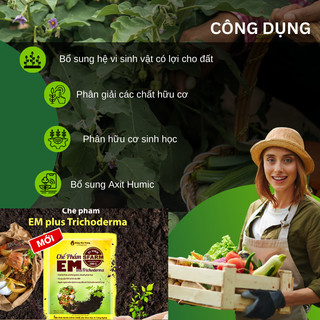 Chế Phẩm EM Plus Trichoderma SFARM Loại 200GR, Ủ Phân Hữu Cơ Không Mùi, Cung Cấp VSV Có Lợi