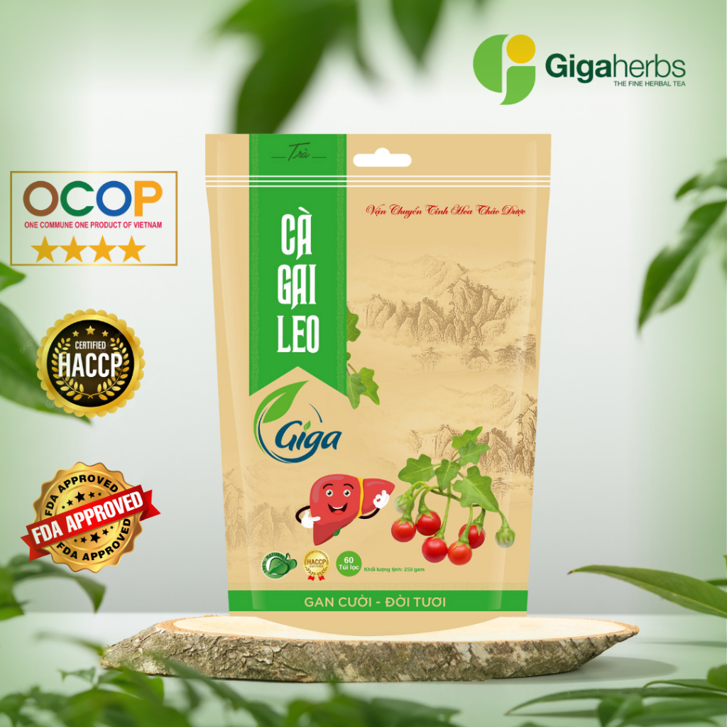 Trà Cà Gai Leo Giga 1KG - 240 Túi Lọc Giúp Bổ Gan, Giải Độc Gan, Hỗ Trợ Chống Viêm Gan, Xơ Gan