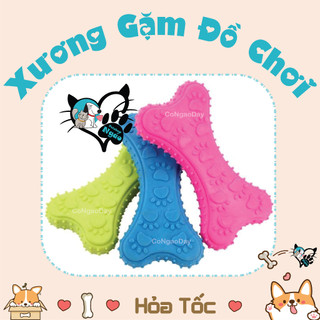 Đồ Chơi Xương Cao Su Cho Chó Tập Nhai Gặm ___ XƯƠNG ĐỒ CHƠI