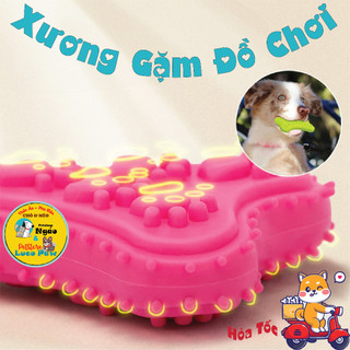 Đồ Chơi Xương Cao Su Cho Chó Tập Nhai Gặm ___ XƯƠNG ĐỒ CHƠI