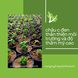 Chậu Trồng Cây Nhựa Dẻo C12: 31x27cm  dùng ươm cây, có lỗ thoát nước, bền cao