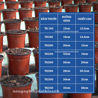 [5 cái] Chậu Trồng Cây 230x160mm Nâu/Trắng, hiệu Tân Tường Khang vành cứng, chịu nhiệt tốt, bền