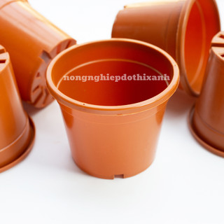 [5 cái] Chậu Trồng Cây 260x200mm Nâu/Trắng, hiệu Tân Tường Khang vành cứng, chịu nhiệt tốt, bền