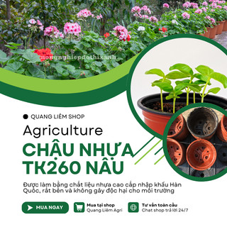 [5 cái] Chậu Trồng Cây 260x200mm Nâu/Trắng, hiệu Tân Tường Khang vành cứng, chịu nhiệt tốt, bền