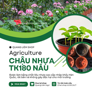 [5 cái] Chậu Trồng Cây 180x146mm Nâu/Trắng, hiệu Tân Tường Khang, vành cứng, chịu nhiệt tốt, bền