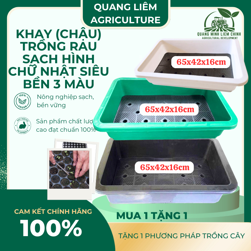 Khay (Chậu) Trồng Rau Sạch Hình Chữ Nhật Siêu Bền 3 MÀU 