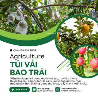 [BÁN 10 CAI] Túi bao vải cho các loại trái cây, rau củ quả ổi xoài bưởi mít, khổ qua bầu
