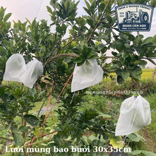 [BÁN 10 CAI] Túi bao vải cho các loại trái cây, rau củ quả ổi xoài bưởi mít, khổ qua bầu