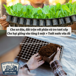Khay ươm hạt giống 108 lỗ - nhựa dày, chịu nhiệt, phù hợp ươm: rau cải, xà lách, rau ăn lá