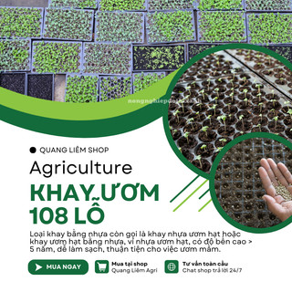Khay ươm hạt giống 108 lỗ - nhựa dày, chịu nhiệt, phù hợp ươm: rau cải, xà lách, rau ăn lá