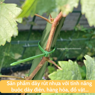 Dây Rút Nhựa trắng nhiều kích thước (40 sợi) - dây thít nhựa cố định cành, cột giàn làm vườn