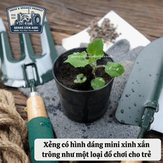 [COMBO 2 CÁI] Dụng cụ Đong phân - Định lượng - Chiết phân bón, thuôc BVTV - Sản phẩm cần thiết cho nông nghiệp